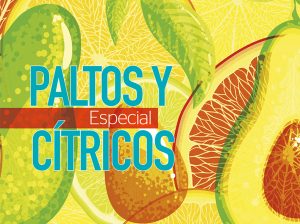Especial “Paltos y Cítricos” 2019
