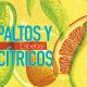 Especial “Paltos y Cítricos” 2019