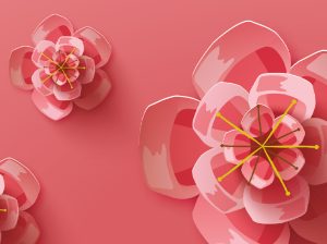 El nuevo florecer de la cereza