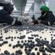 Exportaciones peruanas de alimentos a EEUU crecieron 8% en 2021