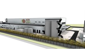 Grupo Ferrero sube apuesta en Chile e invierte US$50 millones en planta procesadora de avellana en Ñuble