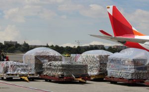 Cadena logística e industria: claves en el crecimiento del sector floricultor