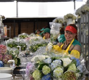 Floricultura colombiana, un modelo de éxito económico y un ejemplo mundial en la conservación de la biodiversidad