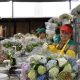 Floricultura colombiana, un modelo de éxito económico y un ejemplo mundial en la conservación de la biodiversidad