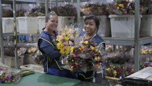 Flores colombianas engalanan la celebración del Día de la Madre en todo el mundo