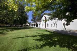De viña tradicional a moderna e innovadora