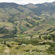 Aspectos claves para la instalación del cultivo de aguacate en Colombia