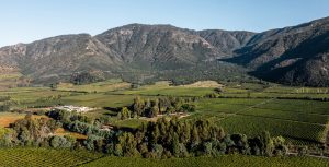 El crecimiento de las viñas con infraestructura ecológica