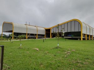 La bóveda colombiana donde se resguardan semillas y plántulas de tres cultivos clave para la alimentación mundial