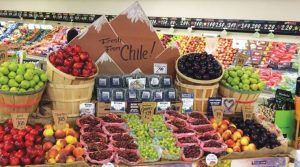 Exportaciones de fruta chilena registran aumento de 4% en el valor respecto al año anterior tras alcanzar US$ 5.631 millones