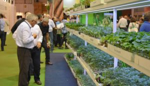 Un sector cambiante, diverso y orientado a los consumidores