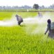 México cumple metas y disminuye importación de glifosato a la mitad