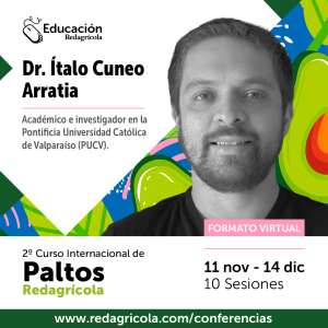 Expertos se refieren a las innovaciones aplicables en la producción de paltos