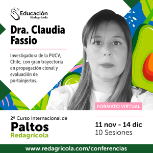 Portainjertos clonales de palto: charla abordará la situación en Chile y Perú