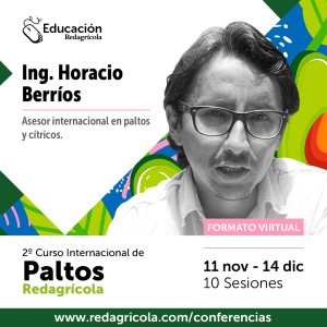 Charla se referirá al uso de reguladores de crecimiento, bioestimulantes y enmiendas en palto