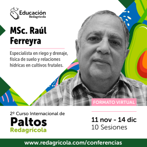 Experto tratará el manejo del suelo, el desarrollo de raíces y la gestión del riego en palto