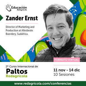 Innovaciones en sistemas de conducción en palto: la experiencia de la variedad Maluma