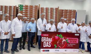 Pequeños y medianos agricultores peruanos ante el reto de exportar
