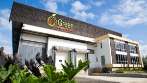 Green SuperFood: multiplicarán envíos de aguacate y llegarán a EEUU gracias a nueva planta