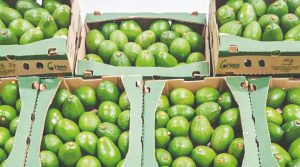 Nueva etapa,  nuevos mercados