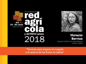 "Técnicas para mejorar el cuajado y el amarre de los frutos en paltos"