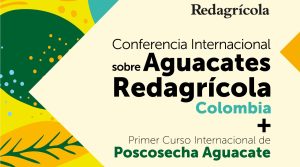 Redagrícola realizará Conferencia Internacional sobre aguacates en Pereira