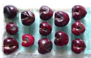 Pudrición negra en frutos de cerezo causada por un complejo de especies del género Alternaria