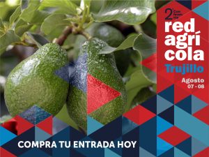 Todo sobre el manejo productivo del palto