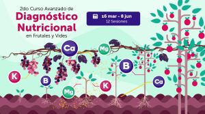 El curso de nutrición en frutales y vides que hacía falta