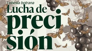 Lucha de precisión