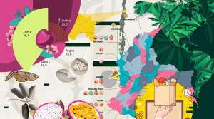 Los datos y las imágenes que marcaron 2022