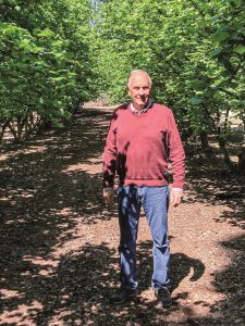 El nuevo objetivo del pionero de la avellana en Chile