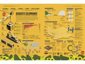 Aguacates colombianos buscan su lugar en el mundo