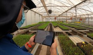 Cómo acceder a los $60 millones que puso a disposición FIA para que emprendedores e innovadores tengan acceso a consultorías y eventos