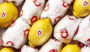 Exportadora frutícola de fuerte presencia en Chile registra leve aumento de ventas en su campaña 2021