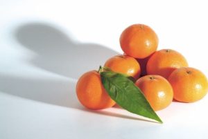 AgroFresh realizará Workshop de Postcosecha para Cítricos