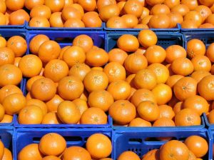 Dragón Amarillo podría reducir en 80% la producción peruana de cítricos en un escenario pesimista
