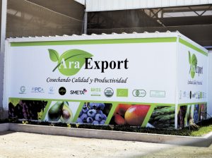 Ara Export fortalece su capacidad logística y garantiza calidad de mango
