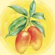 Una baja productiva  marcará la campaña 2020/21 del mango