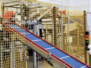 El mango ‘premium’ se abre paso en Oceanía