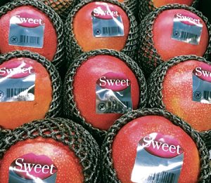 Siete estrategias a seguir para la consolidación del mango peruano