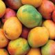 Lanzarán plataforma que facilitará comercialización del mango en EE UU