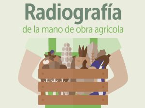 Los jóvenes ganan relevancia, pero persisten brechas en educación y género