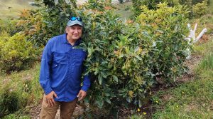 Retos productivos del Hass colombiano, en el foco de la Conferencia Redagrícola Pereira 2023