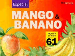 Especial Mango y Banano