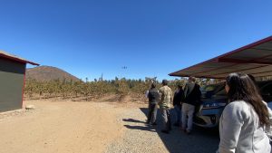 Utilizan drones para combatir plaga de Lobesia botrana