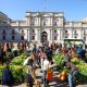 Embajada de Países Bajos en Chile celebró la llegada de la primavera regalando tulipanes