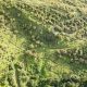 MIPE, estrategia dinámica para control de plagas y enfermedades en aguacate
