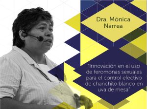 "Innovaciones en el uso de feromonas sexuales para el control efectivo de chanchito blanco en uva de mesa"