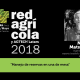 "Manejo de reservas en uva de mesa"